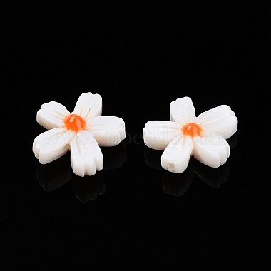 Natural Freshwater Shell Beads Strands(X-SHEL-F004-04-01)-3