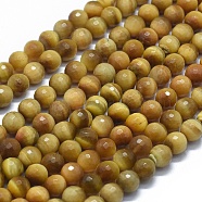Natural Gold Tiger Eye Beads Strands, Faceted, Round, 8mm, Hole: 1mm, about 48pcs/strand, 15.35 inch(39cm)(G-D0013-70B)