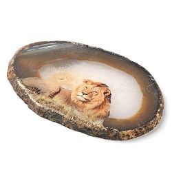 Printed Natural Agate Slice Stone Ornament, for Good Luck Home Office Decor, Lion, 115~125x110~130x7~8mm(DJEW-M011-04E)