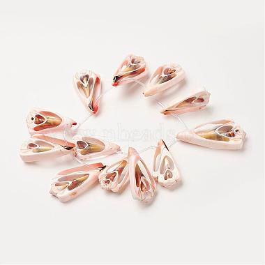 Natural Shell Beads Strands(SSHEL-G018-03)-2