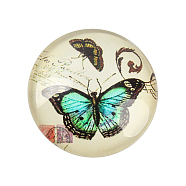 Butterfly Printed Glass Cabochons, Half Round/Dome, Lemon Chiffon, 12x4mm(GGLA-N004-12mm-C01)