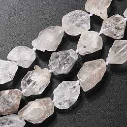 Rough Raw Natural Quartz Beads Strands, Nuggets, 19~24x15~17x11~13mm, Hole: 0.8mm, about 18~19pcs/strand, 16.73''(42.5cm)(G-G010-19-01)
