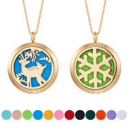 304 Stainless Steel Pendant Necklaces, with 316 Stainless Steel Diffuser Locket Pendants, Velvet Jewelry Pouches Bags, Golden,  23.6 inch(60cm)(NJEW-SC0001-04G)