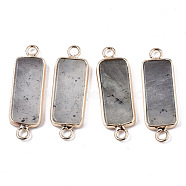 Natural Labradorite Links Connectors, with Light Gold Tone Brass Findings, Rectangle, 27~30x10x2.5mm, Hole: 2.5mm(G-N326-33C)