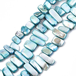 Natural Freshwater Shell Beads Strands, AB Color, Dyed, Nugget Stick, Sky Blue, 8~25x6~10x2~6mm, Hole: 0.5mm, about 46~49pcs/strand, 13.98 inch~14.56 inch(35.5~37cm)(X-SHEL-N026-123F)
