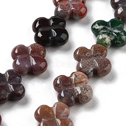 Natural Indian Agate Beads Strands, 4-Petal Flower, 14x14x5.5mm, Hole: 1.2mm, about 15pcs/strand, 7.87''(20cm)(G-P520-A04-01)