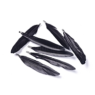Goose Feather Pendants, Big Pendants, with Iron Findings, Platinum, Dyed, Black, 72~82x12~19mm, Hole: 1.5mm(FIND-Q055-P12)