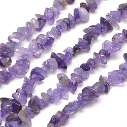 Natural Amethyst Chip Bead Strands, Dyed, 5~8x5~8mm, Hole: 1mm, about 31.5 inch(G-M205-04)