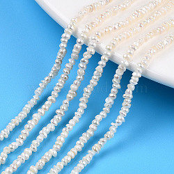 Natural Cultured Freshwater Pearl Beads Strands, Flat Round, Seashell Color, 2.5~3.5x1.5~2mm, Hole: 0.5mm, about 185~239pcs/strand, 13.50 inch~13.86 inch(34.3~35.2cm)(PEAR-N015-02C)