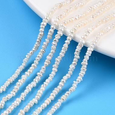 Seashell Color Flat Round Pearl Beads