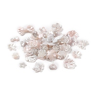 DIY Baroque Jewelry Making Finding Kit, Including Gradient Acrylic Charms and Beads, Mixed Shapes, Seashell Color, 8.5~34.5x8.5~34.5x2~10mm, Hole: 1.4~2.7mm, 1086pcs/500g(DIY-B073-04A)