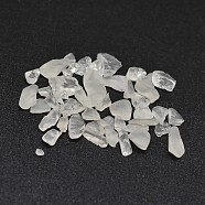 Natural Quartz Crystal Chip Beads, No Hole/Undrilled, 2~8x2~4mm, about 8500pcs/500g(G-O103-17)