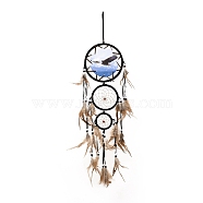 Indian Style ABS Woven Web/Net with Feather Pendant Decorations, with Wood and ABS Beads, Covered with Villus and Cotton Cord, Flat Round, Eagle Pattern, 730~743mm(AJEW-B016-04A)