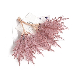 Plastic & Iron Artificial Frosty Branches, for Wedding Indoor Outdoor Home Garden Porch Window Plant Decorationt, Cerise, 190mm, 6pcs/set(PW-WG96060-08)