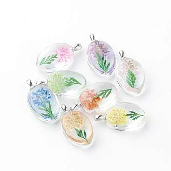 Glass Pendants, with Dried Flower Inside, Oval, Platinum, Mixed Color, 31x18x10~11mm, Hole: 5x2mm