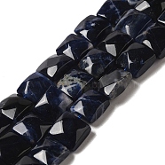 Natural Sodalite Beads Strands, Faceted, Square, 9~10.5x10~10.5x6mm, Hole: 1mm, about 18~20pcs/strand, 7.09~7.68 inch (18~19.5cm)(G-C109-A08-01)