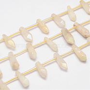 Natural Crystal Pointed Bead Strands, Dyed, Bullet, Yellow, 15~22x5~11x5~11mm, Hole: 2mm(G-G940-04)