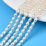 Natural Cultured Freshwater Pearl Beads Strands, Rice, Seashell Color, 5~6.5x4~4.5mm, Hole: 0.6mm, about 60~61pcs/strand, 13.98 inch~14.17 inch(35.5~36cm)(PEAR-N012-04D)