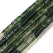 Natural Moss Agate Beads Strands, Column, 8x4mm, Hole: 0.7mm, about 48pcs/strand, 15.35~15.43''(39~39.2cm)(G-B091-A10-01)