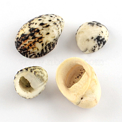 No Hole Natural Trochid Shell/Trochus Shell Beads, Light Goldenrod Yellow, 19~31x15~22x10~15mm, about 145pcs/500g(SSHEL-R036-21)