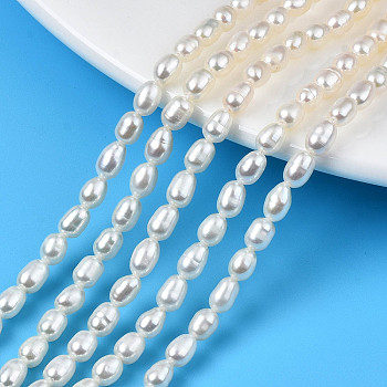 Natural Cultured Freshwater Pearl Beads Strands, Rice, Seashell Color, 5~6.5x4~4.5mm, Hole: 0.6mm, about 60~61pcs/strand, 13.98 inch~14.17 inch(35.5~36cm)
