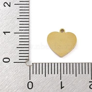 316 Surgical Stainless Steel Enamel Charms(STAS-M073-32A-02G)-3