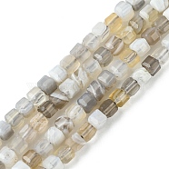 Natural Botswana Agate Beads Strands, Faceted, Cube, 2~2.5x2~2.5x2~2.5mm, Hole: 0.5mm, about 176~181pcs/strand, 15.16~15.35 inch(38.5~39cm)(G-F748-C01)