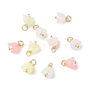 Transparent Acrylic Charms, with ABS Plastic Imitation Pearl Beads and Golden Tone Brass Findings, Flower, Mixed Color, 11x9.5mm, Hole: 3.6mm(PALLOY-JF01604-01)