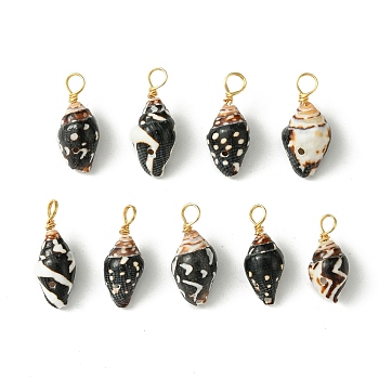 Spiral Shell Pendants, with Real 18K Gold Plated Copper Wire Loops, Shell Charms, Black, 18~20x7~8x6~7mm, Hole: 3.2~3.7mm