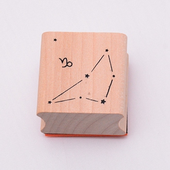 Wooden Stamps, with Rubber, Square with Twelve Constellations, Capricorn, 30x30x24mm