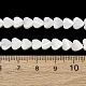 Natural Trochid Shell/Trochus Shell Beads Strands(SH-CBA2978-19A)-4