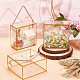 Transparent PET Candy Gift Boxes(CON-WH0084-73A)-5