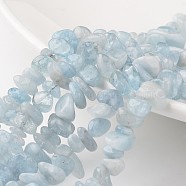 Chip Natural Aquamarine Bead Strands, Grade A+, 7~12x5~8x2~5mm, Hole: 1mm, about 15.7 inch(G-M349-12)