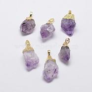 Natural Amethyst Nuggets Golden Plated Pendants, with Brass Finding, Amethyst, 35~40x18~22mm, Hole: 8x5mm(G-P077-36)