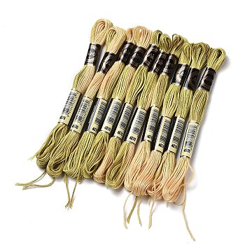 10 Skeins 6-Ply Polyester Embroidery Floss, Cross Stitch Threads, Segment Dyed, Dark Khaki, 0.5mm, about 8.75 Yards(8m)/skein
