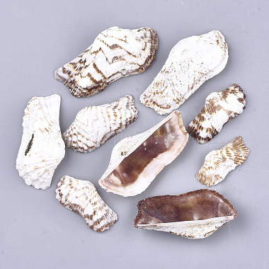 35mm Seashell Others Other Sea Shell Beads