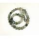 Natural Tree Agate Round Gemstone Beads Strands(G-R255-8mm)-2