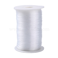 Nylon Wire, Fishing Line, Beading Thread, Clear, 0.5mm, about 1038.93 yards(950m)/roll(NWIR-R012-0.5mm)