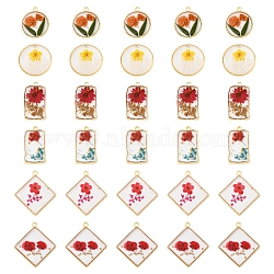 12Pcs 6 Styles Transparent Clear Epoxy Resin Pendants, Inner Flower with Edge Golden Plated Alloy Loops Charms, Mixed Shapes, 22~30x14.5~26.5x3~3.8mm, Hole: 1.4mm, 2pcs/style(RESI-FS0001-88A)