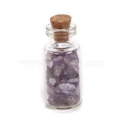 Natural Amethyst Display Decorations, with Glass Bottle, Home Decoration, 16x38mm(PW-WG82037-01)