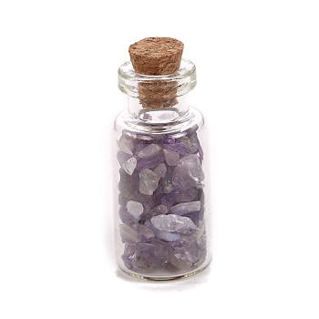 Natural Amethyst Display Decorations, with Glass Bottle, Home Decoration, 16x38mm