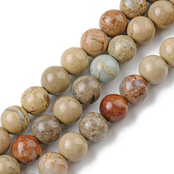 Natural Aqua Terra Jasper Beads Strands, Round, 12mm, Hole: 1mm, about 32~34pcs/strand, 15.7 inch(40cm)