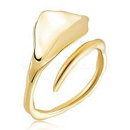 925 Sterling Silver Triangle Open Cuff Ring for Men Women, Golden, US Size 9(18.9mm)(JR882B)