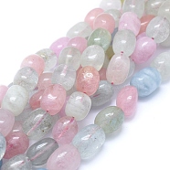 Natural Morganite Beads Strands, Grade A, Drum, Mixed Color, 13~14x10~11mm, Hole: 1mm, about 28pcs/strand, 15.75 inch(40cm)(G-D0010-20B)