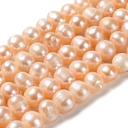 Natural Cultured Freshwater Pearl Beads Strands, Potato, Grade 2A+, PeachPuff, 8~9x6.5~8mm, Hole: 0.6mm, about 47pcs/strand, 13.90~14.17 inch(35.3~36cm)(PEAR-E018-28)