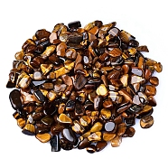 Natural Tiger Eye Tumbled Chips, for Home Crafts Projects and Flower Pot Fish Tank Decoration, 3~5mm(PW-WGA7DCE-39)