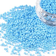 11/0 Grade A Baking Paint Glass Seed Beads, Round, Light Sky Blue, 2.3x1.5mm, Hole: 1mm, about 5300pcs/50g(X-SEED-N001-A-1019)