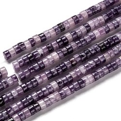 Natural Lepidolite/Purple Mica Stone Beads Strands, Heishi Beads, Flat Round/Disc, 4.5x2~3mm, Hole: 0.8mm, about 158pcs/strand, 15.08 inch(38.3~41.3cm)(G-F631-A42)