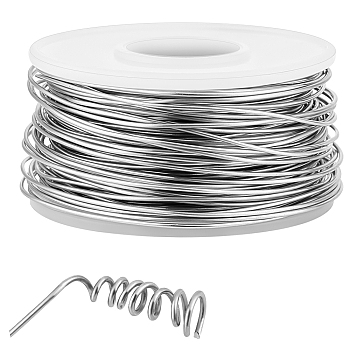 316 Stainless Steel Wire, Round, for Jewelry Making, Stainless Steel Color, 20 Gauge, 0.8mm, about 30m/roll