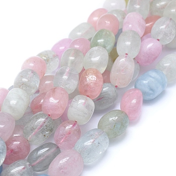 Natural Morganite Beads Strands, Grade A, Drum, Mixed Color, 13~14x10~11mm, Hole: 1mm, about 28pcs/strand, 15.75 inch(40cm)